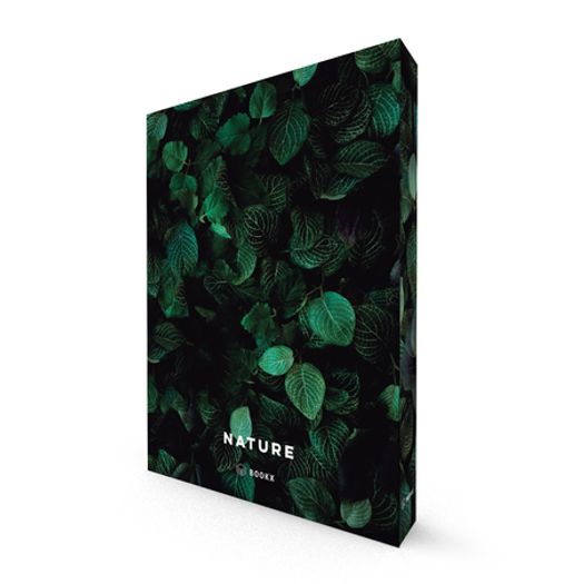 Caixa Livro Nature Preto e Verde 36cm