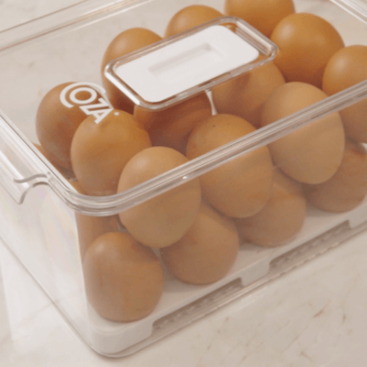 Organizador para Ovos Dry 24 Unidades